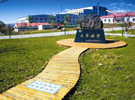 石河子天华矿业集团